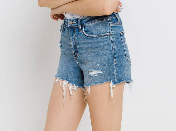 Emily High Rise Distressed Denim Shorts
