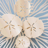 Teleties Flat Clip- Sand Dollar