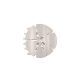 Teleties Flat Clip- Sand Dollar
